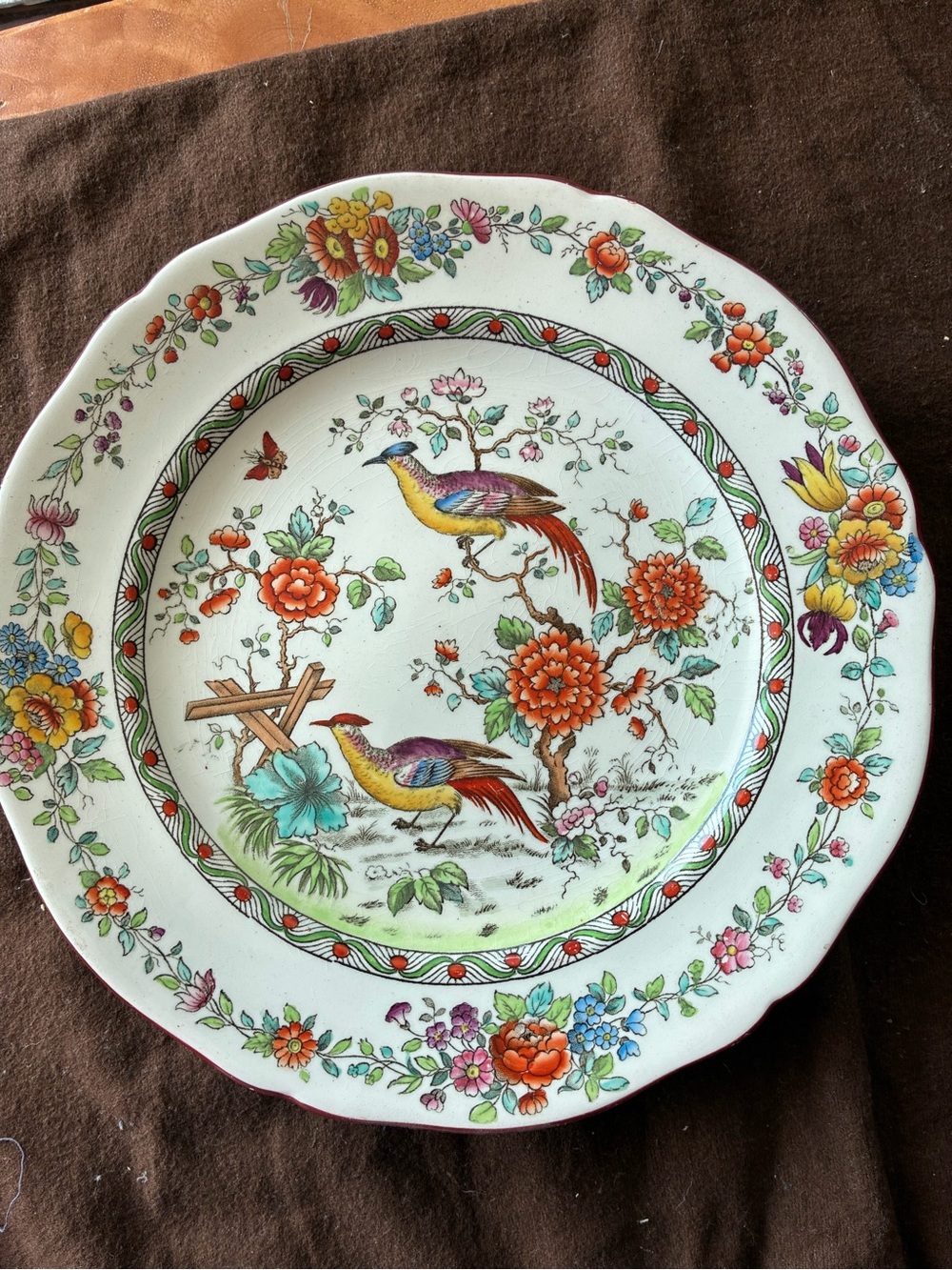 antique Copeland Spode exotic bird plate